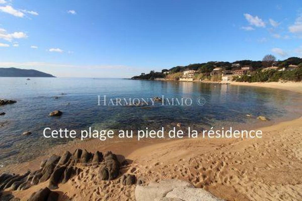 Picture of Condo For Sale in Ajaccio, Corse, France