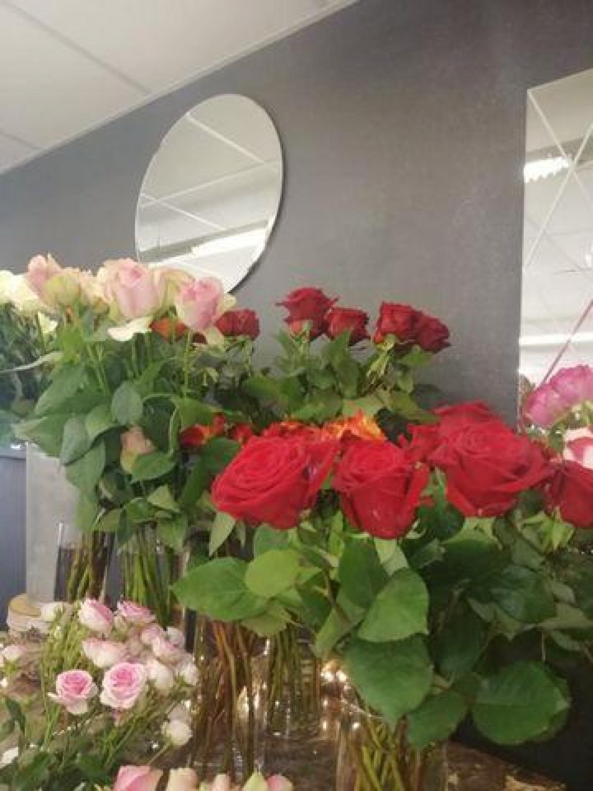 Picture of Office For Sale in Lorient, Bretagne, France