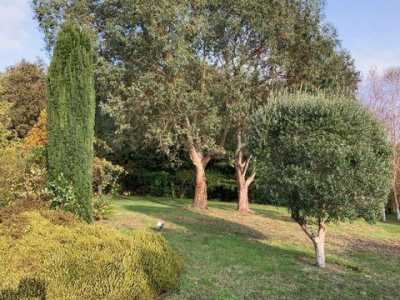 Retail For Sale in Larmor-Plage, France