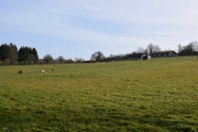 Retail For Sale in Aunac, France