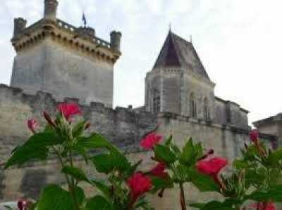 Office For Sale in Uzes, France