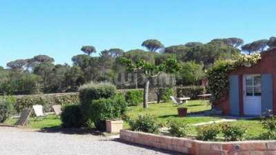 Retail For Sale in Vidauban, France