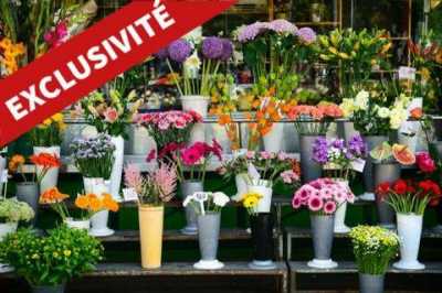 Office For Rent in Cholet, France