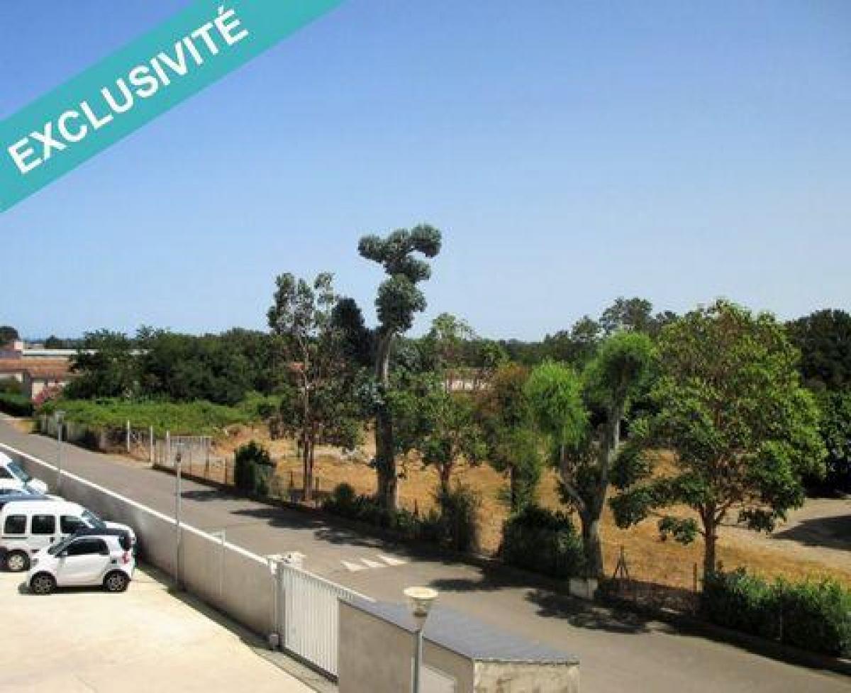 Picture of Apartment For Sale in Lucciana, Corse, France