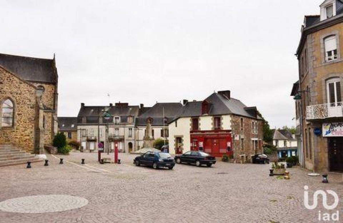 Picture of Industrial For Sale in Mauron, Bretagne, France