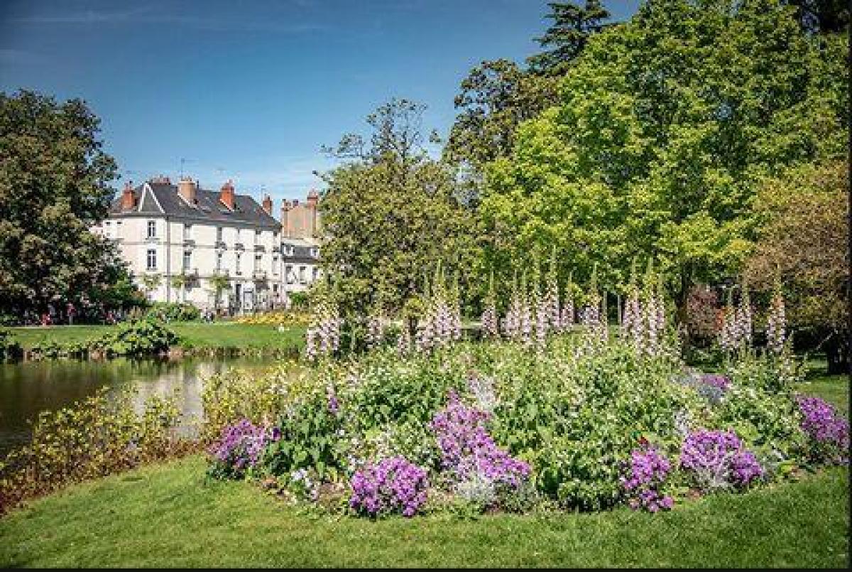 Picture of Retail For Sale in Tours, Touraine, France