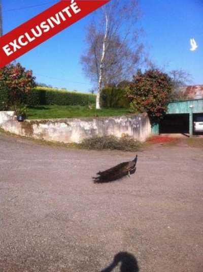 Farm For Sale in Plouguenast, France