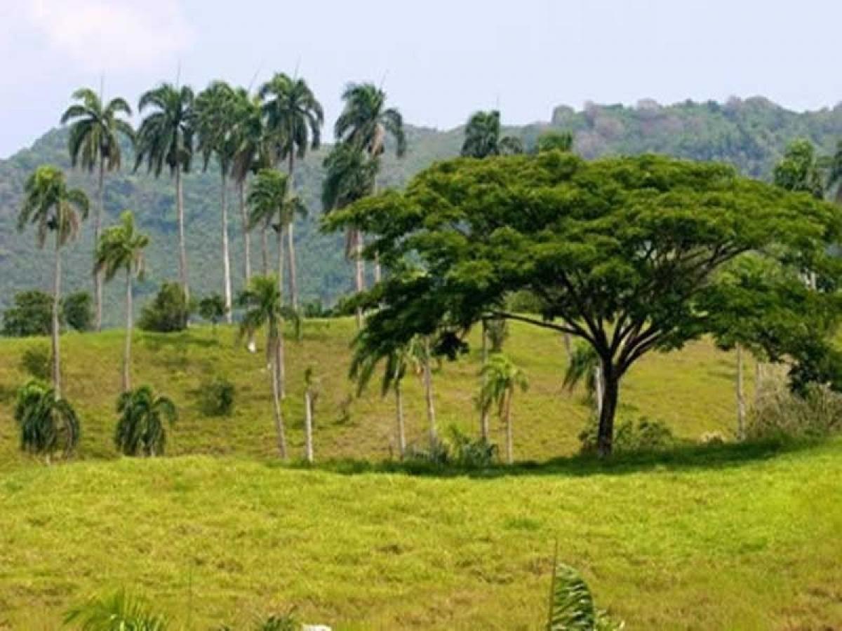 Picture of Residential Lots For Sale in Jamao, Espaillat, Dominican Republic