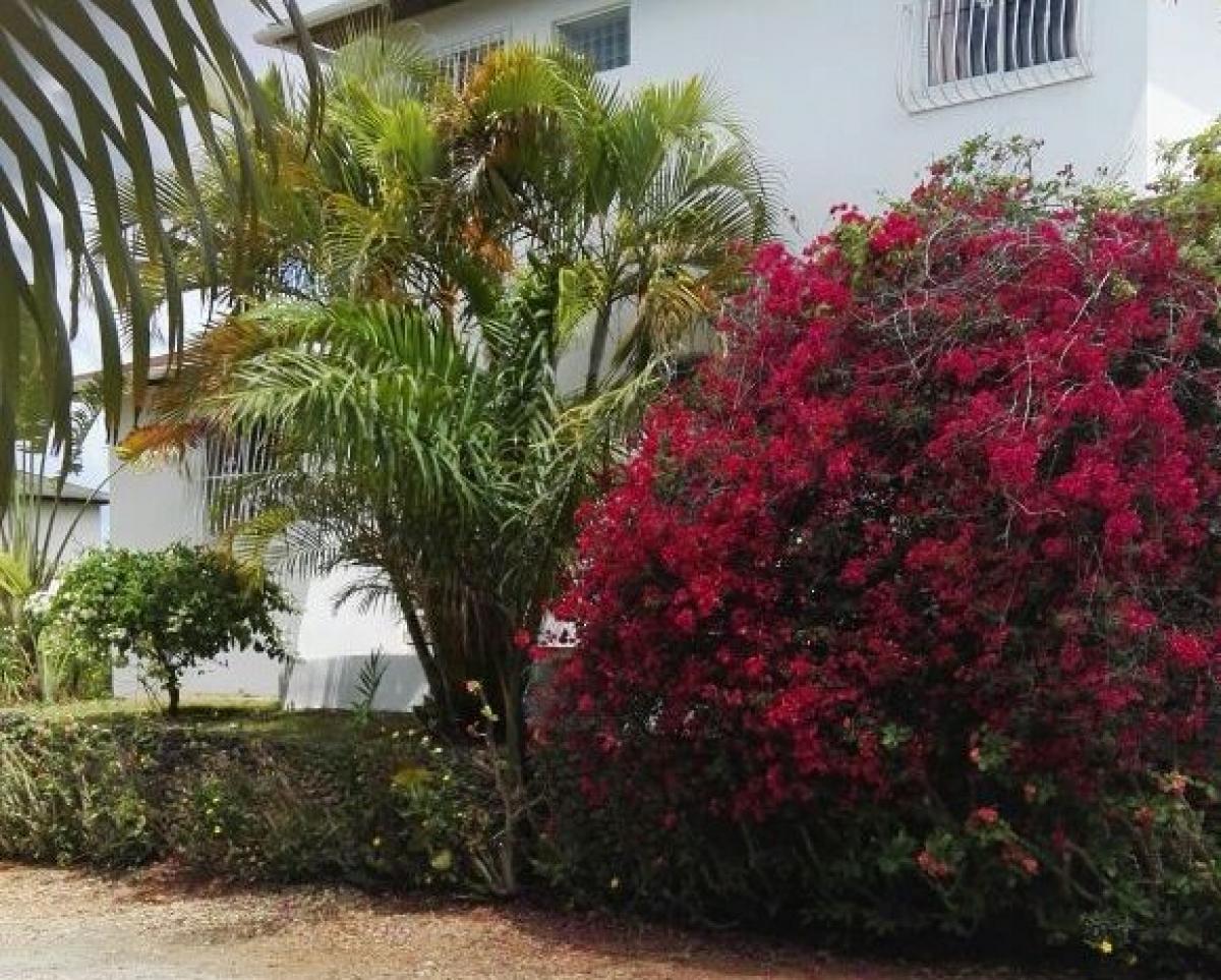 Picture of Villa For Sale in Rio San Juan, Maria Trinidad Sanchez, Dominican Republic