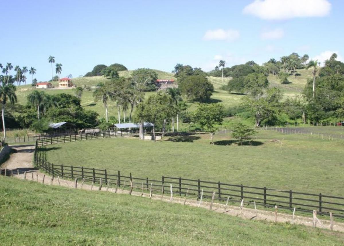 Picture of Farm For Sale in Puerto Plata, Puerto Plata, Dominican Republic