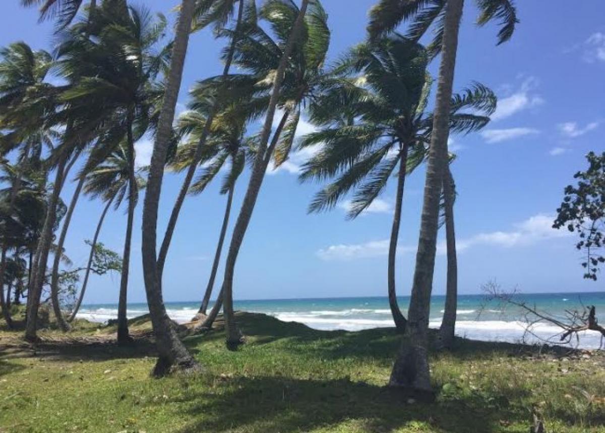 Picture of Residential Lots For Sale in Las Canas, Puerto Plata, Dominican Republic