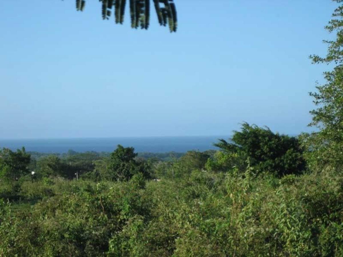 Picture of Residential Lots For Sale in Sosua, Puerto Plata, Dominican Republic