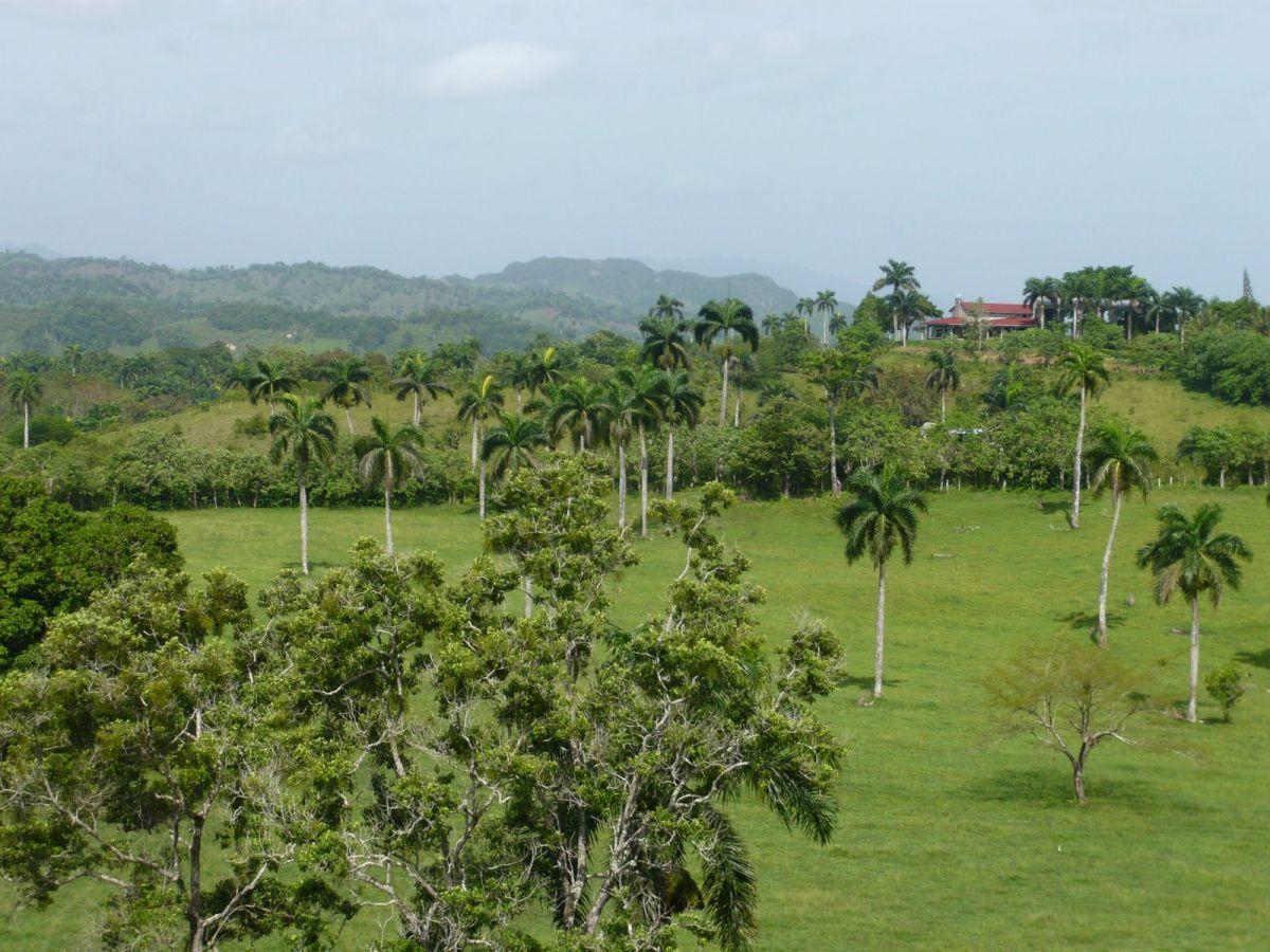 Picture of Farm For Sale in Jamao, Espaillat, Dominican Republic