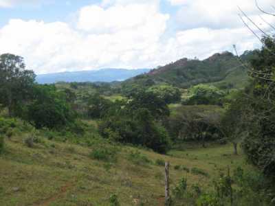 Farm For Sale in Cabarete, Dominican Republic