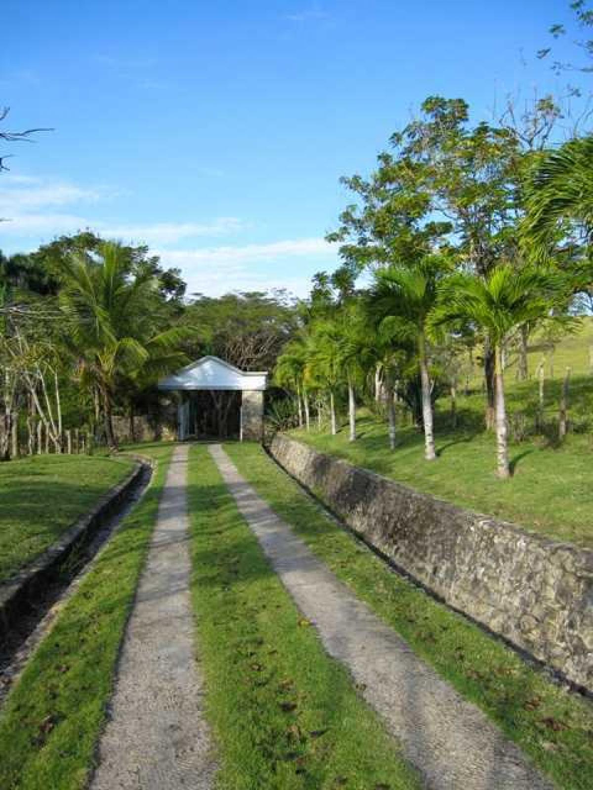 Picture of Farm For Sale in Jamao, Espaillat, Dominican Republic