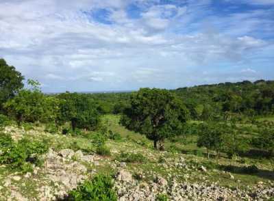 Residential Land For Sale in Cabarete, Dominican Republic