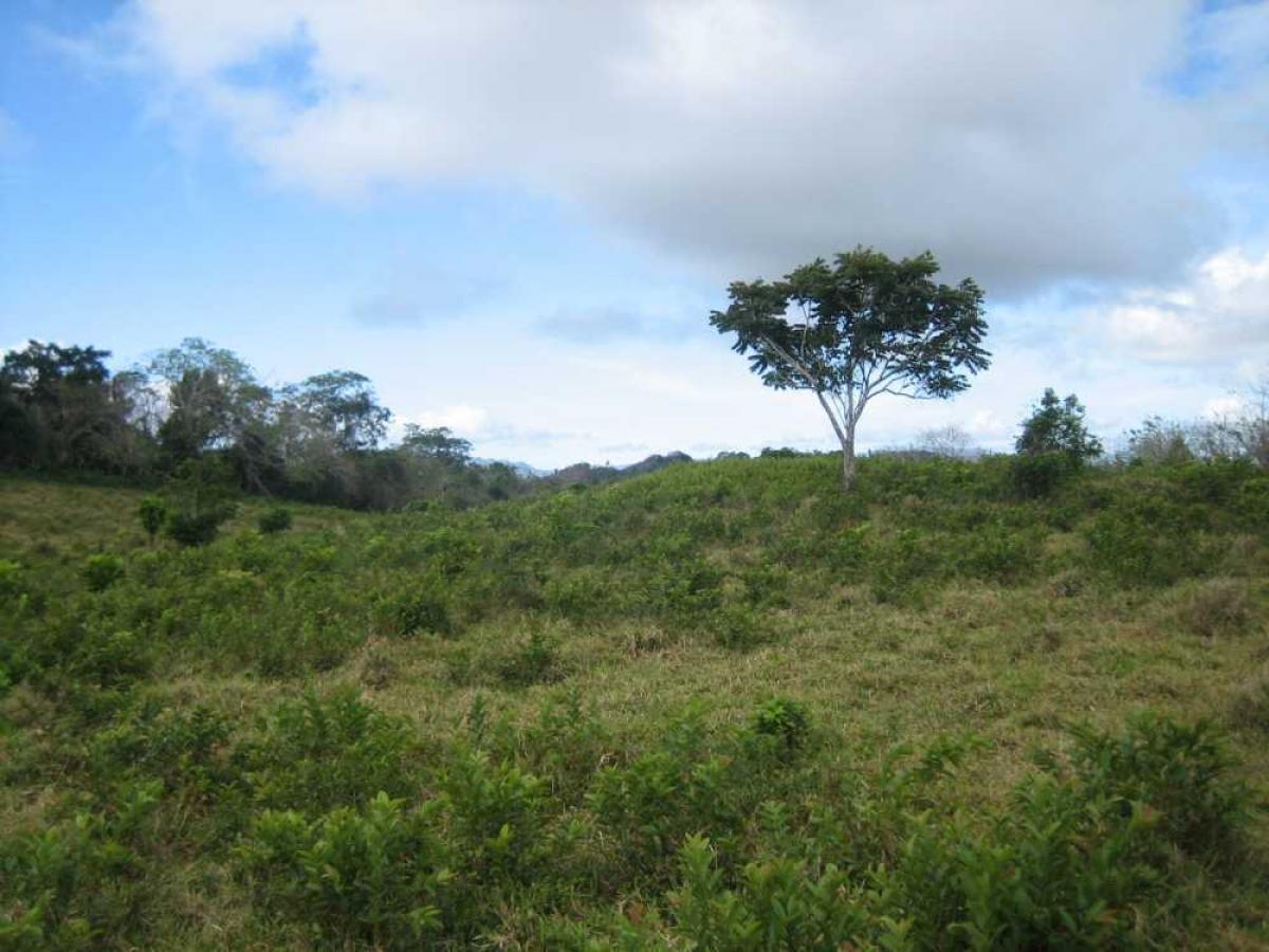 Picture of Residential Land For Sale in Puerto Plata, Puerto Plata, Dominican Republic