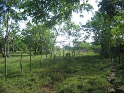 Residential Land For Sale in Cabarete, Dominican Republic