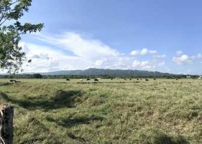 Farm For Sale in Sabaneta, Dominican Republic