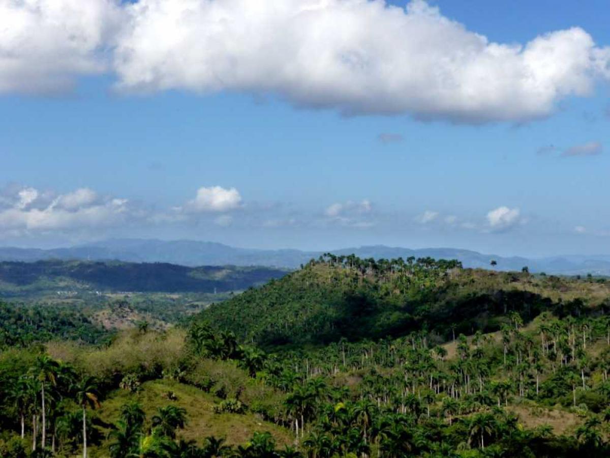 Picture of Residential Land For Sale in Sosua, Puerto Plata, Dominican Republic
