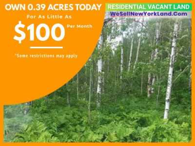 Residential Land For Sale in Elmira, Michigan