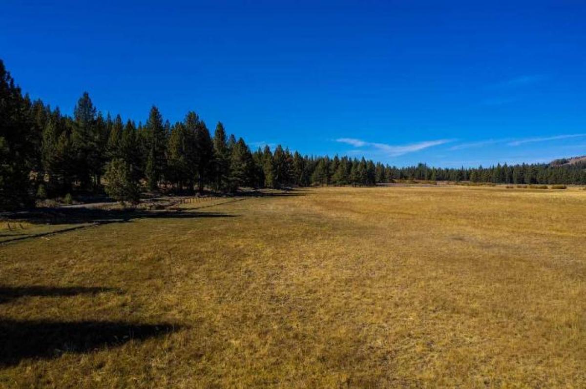 Picture of Residential Land For Sale in Chilcoot, California, United States