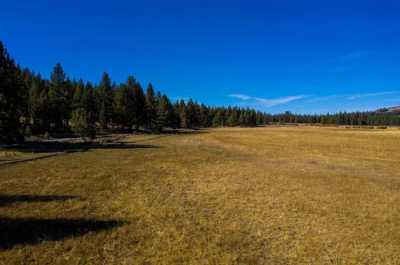 Residential Land For Sale in Chilcoot, California