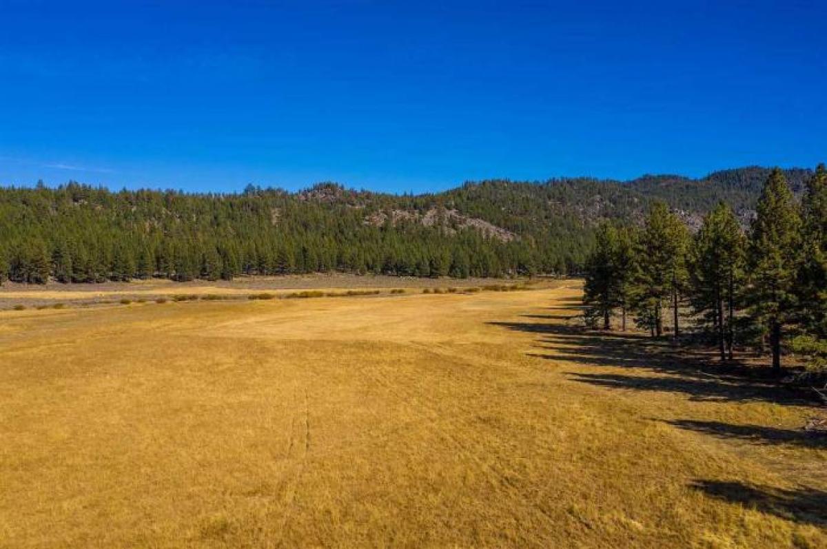 Picture of Residential Land For Sale in Chilcoot, California, United States