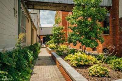 Apartment For Rent in