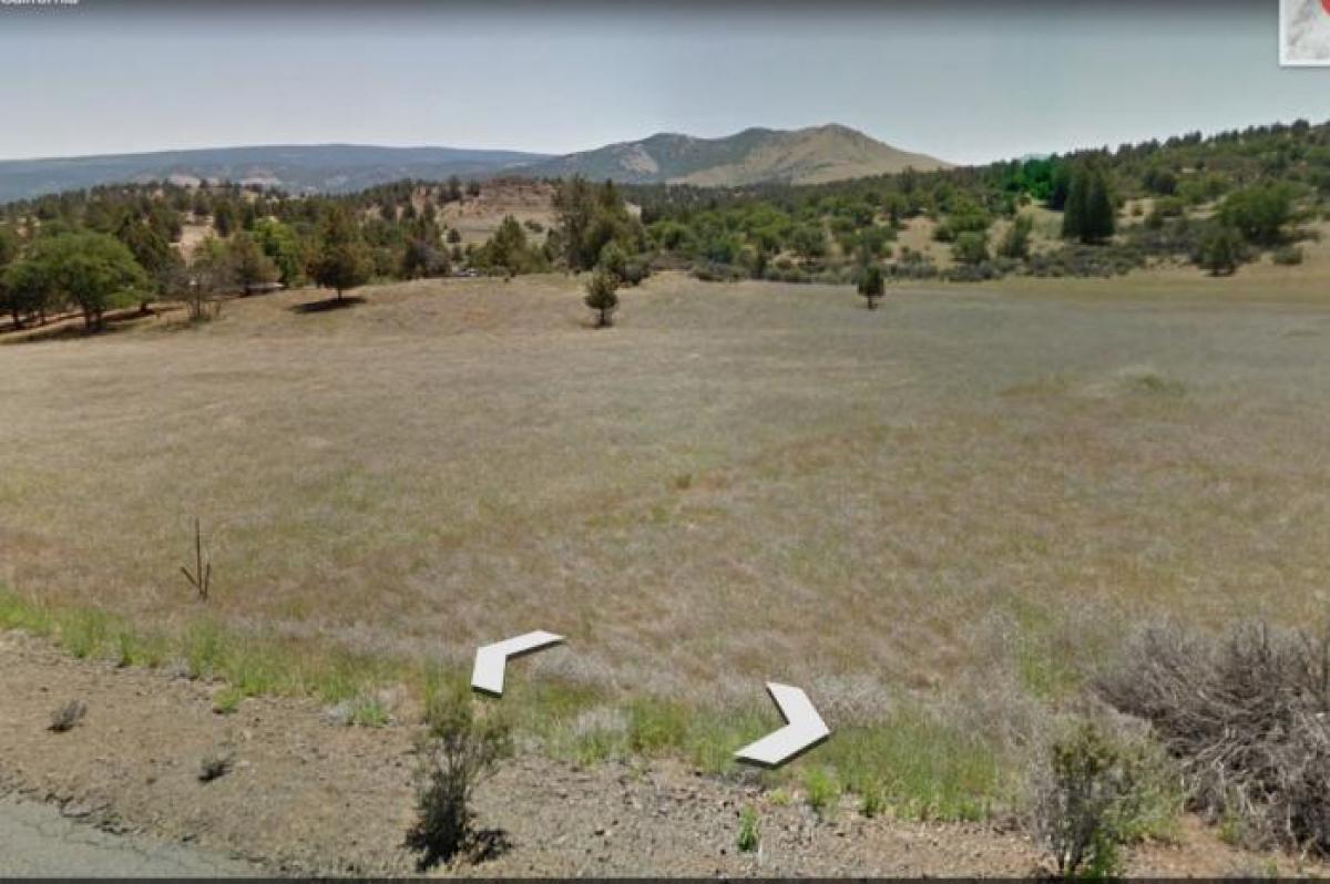 Picture of Residential Land For Sale in Hornbrook, California, United States