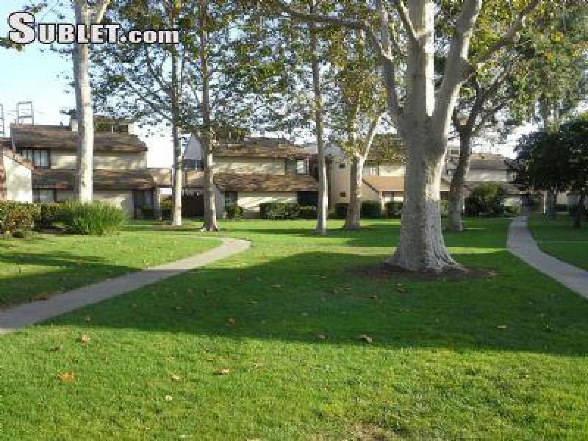 Picture of Apartment For Rent in Ventura, California, United States