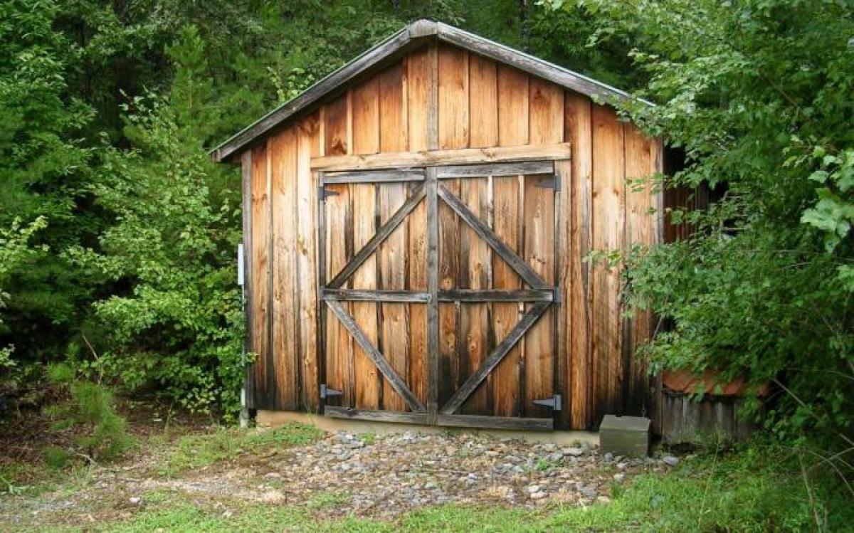 Picture of Residential Land For Sale in Mineral Bluff, Georgia, United States