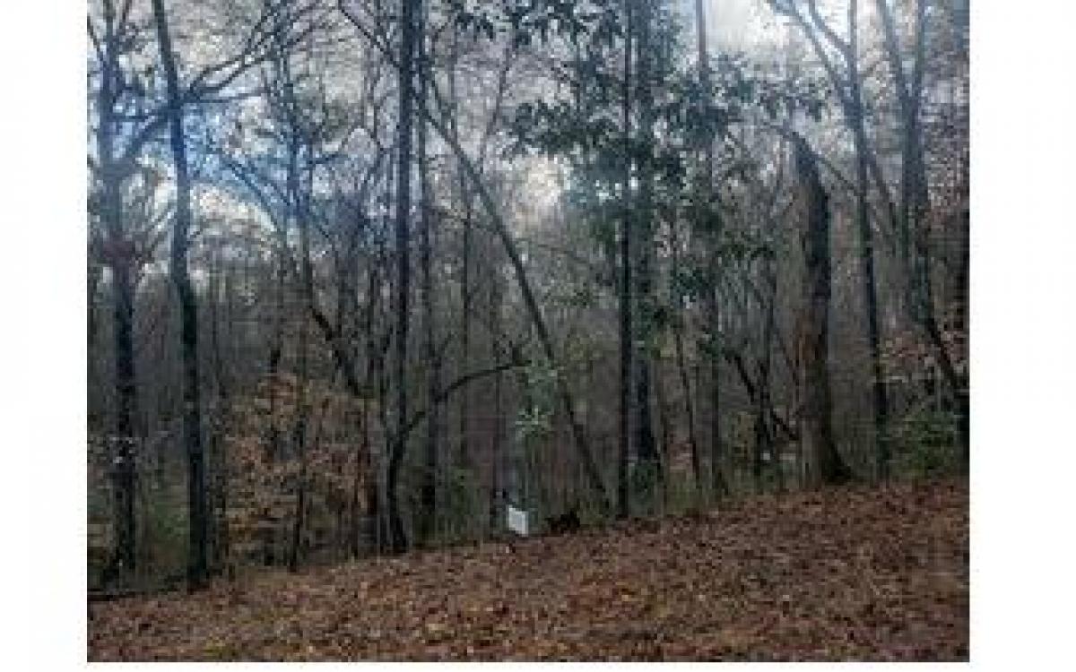 Picture of Residential Land For Sale in Blue Ridge, Georgia, United States