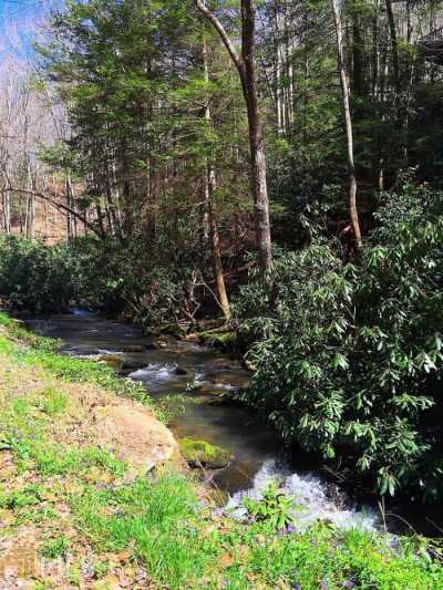 Residential Land For Sale in Clayton, Georgia