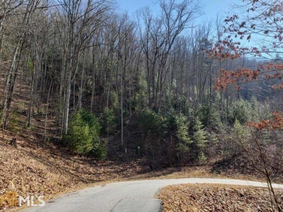 Picture of Residential Land For Sale in Mineral Bluff, Georgia, United States