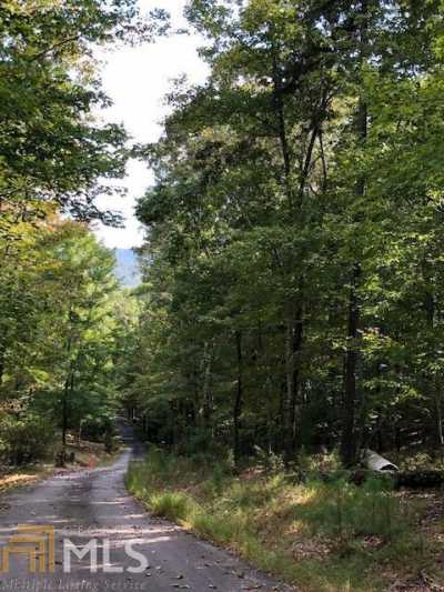 Residential Land For Sale in Morganton, Georgia