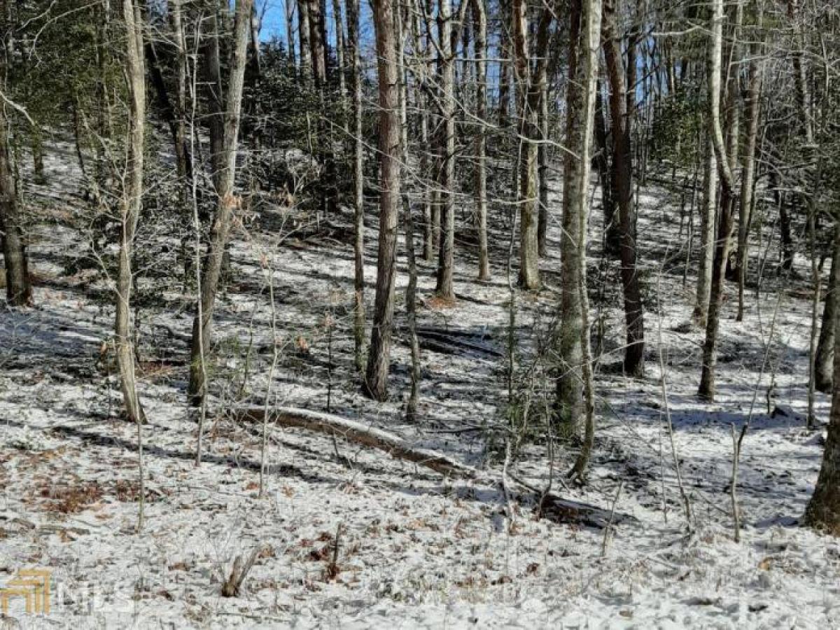 Picture of Residential Land For Sale in Blue Ridge, Georgia, United States