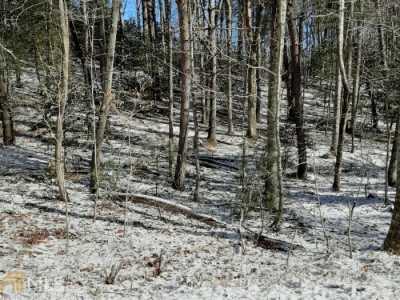 Residential Land For Sale in Blue Ridge, Georgia