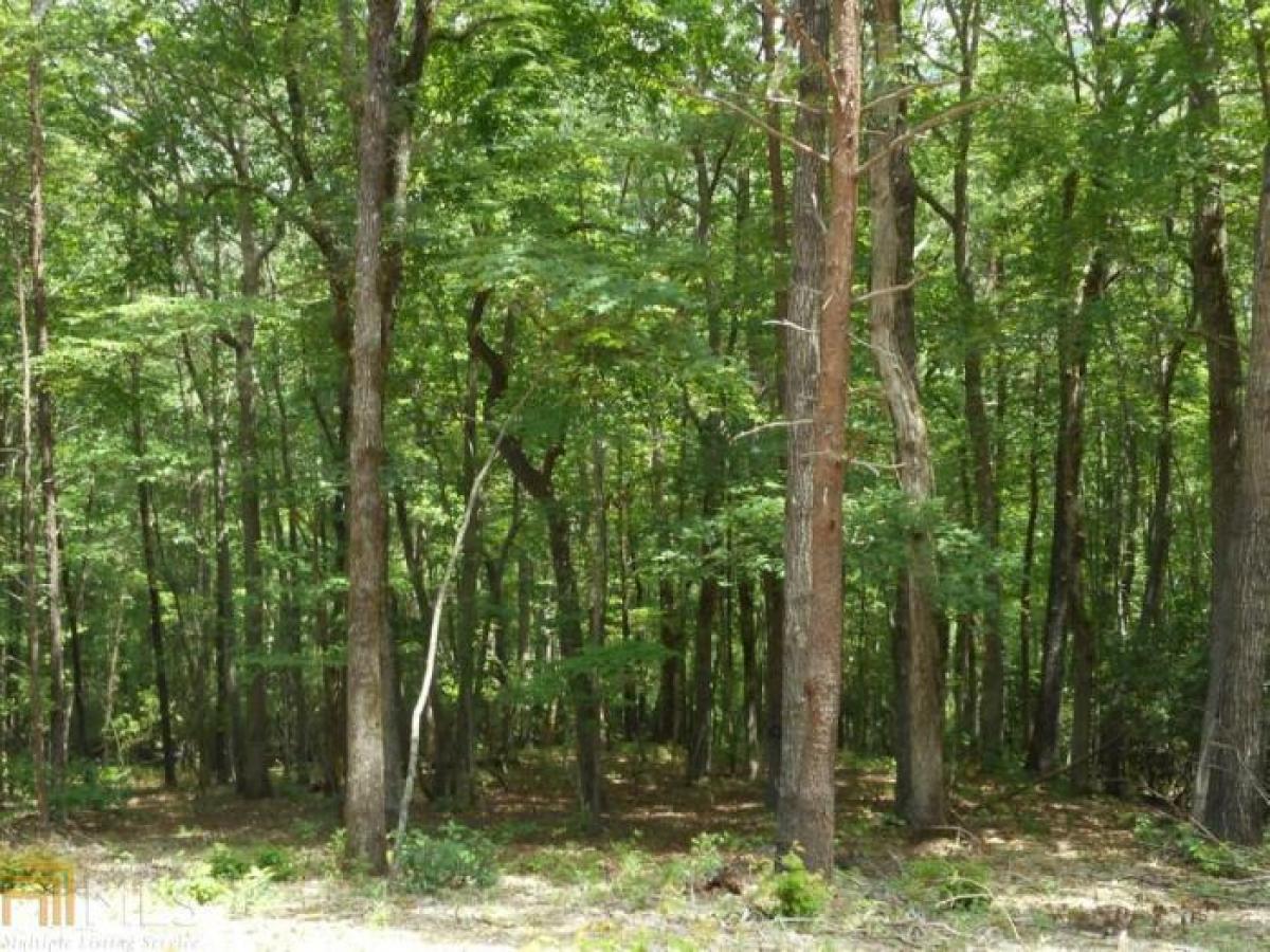 Picture of Residential Land For Sale in Cleveland, Georgia, United States