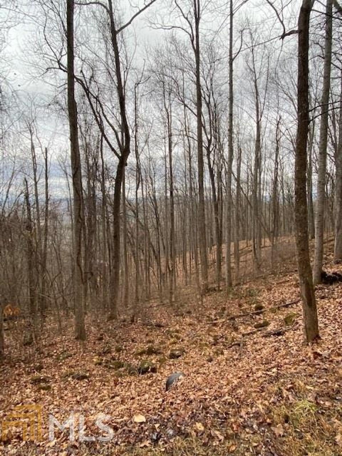 Picture of Residential Land For Sale in Young Harris, Georgia, United States