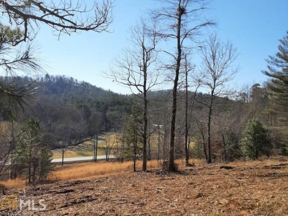 Picture of Residential Land For Sale in Mineral Bluff, Georgia, United States