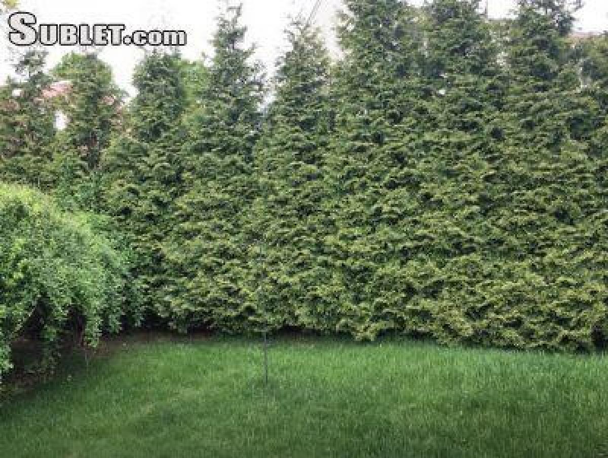 Picture of Apartment For Rent in Fairfield, Connecticut, United States