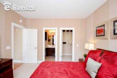 Apartment For Rent in