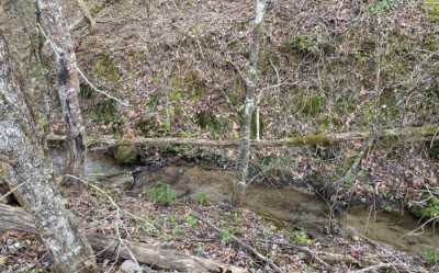 Residential Land For Sale in Turtletown, Tennessee