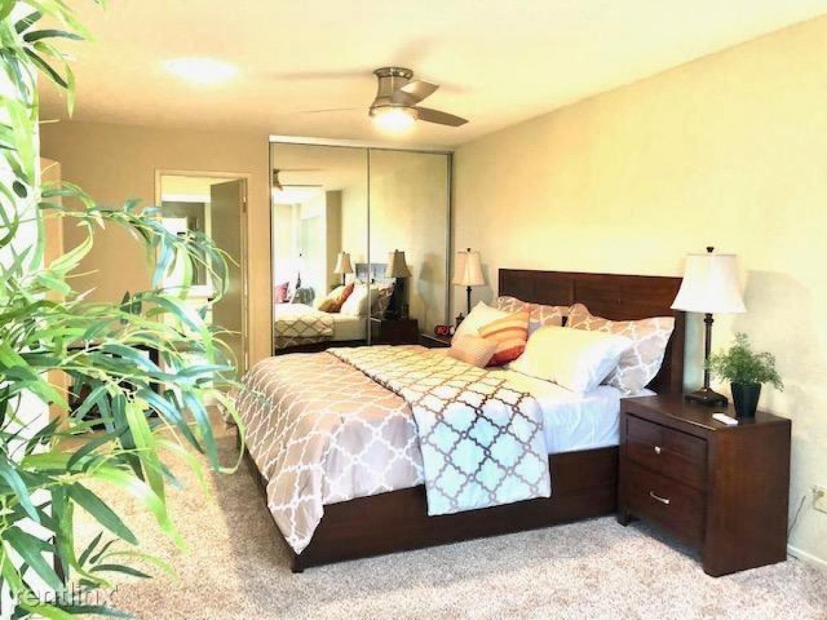 Picture of Apartment For Rent in Palm Desert, California, United States