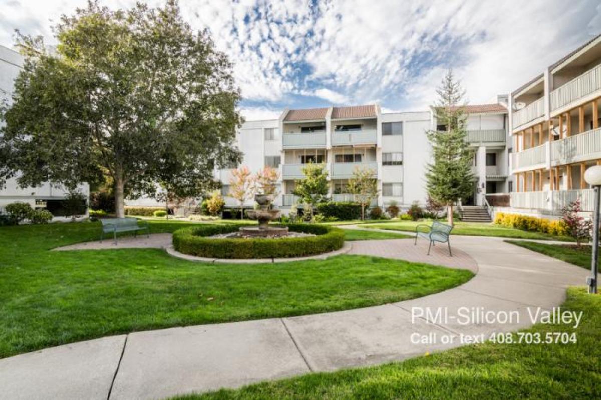 Picture of Condo For Rent in Mountain View, California, United States