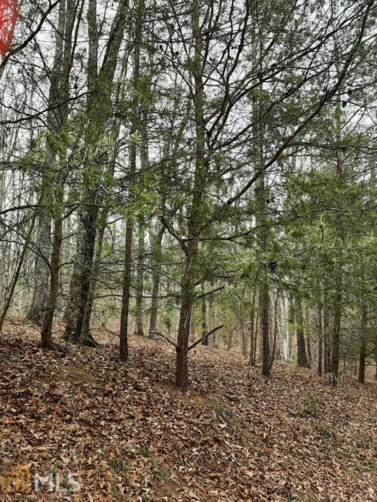 Picture of Residential Land For Sale in Mineral Bluff, Georgia, United States