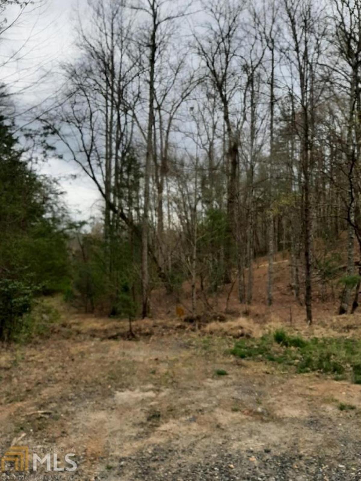 Picture of Residential Land For Sale in Blue Ridge, Georgia, United States