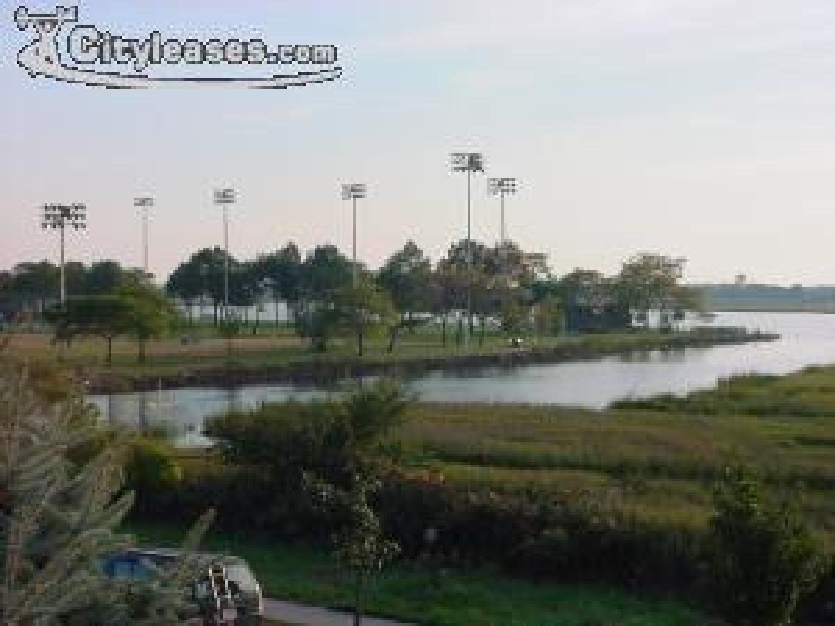 Picture of Apartment For Rent in Nassau, New York, United States