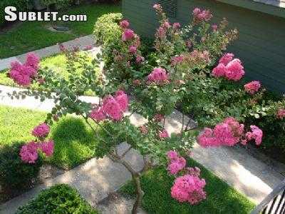 Apartment For Rent in Brazoria, Texas